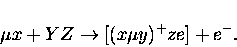 \begin{displaymath}
\mu x + YZ \rightarrow [(x\mu y)^{+}ze] + e^{-}.
\end{displaymath}