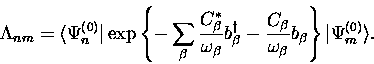 \begin{displaymath}
\Lambda_{nm}= \langle \Psi_n^{(0)} \vert
\exp \left \{ - \su...
...omega_{\beta}} b_{\beta}
\right \} \vert \Psi_m^{(0)} \rangle.\end{displaymath}