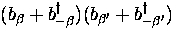 $(b_{\beta} + b_{-\beta}^{\dagger})(b_{\beta^{\prime}} 
 + b_{-\beta^{\prime}}^{\dagger})$
