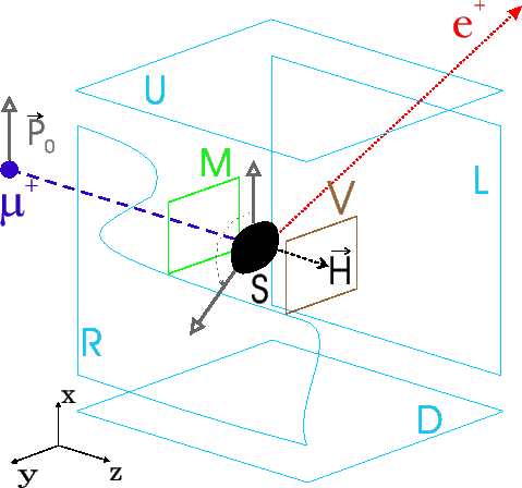 \includegraphics[width=12cm]{TF-muSR.eps}