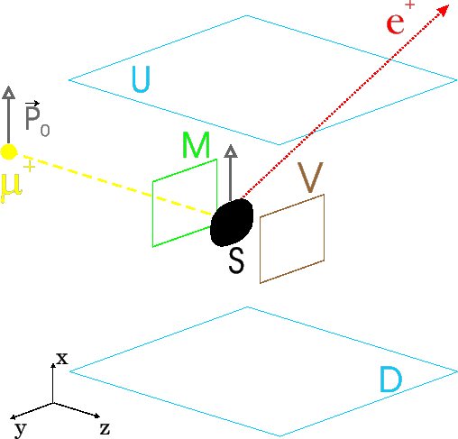 \includegraphics[width=12cm]{ZF-muSR.eps}