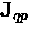 ${\bf J}_{qp}$